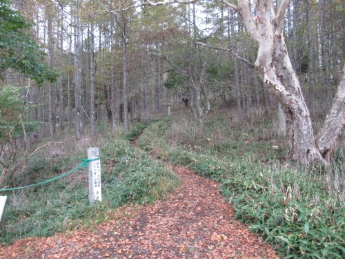 登山口